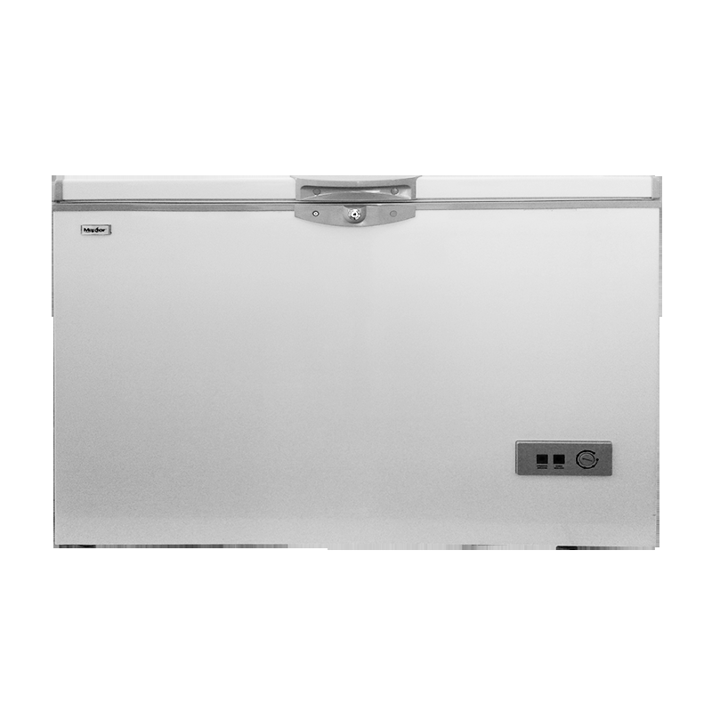 CONGÉLATEUR MAXTOR 300L SILVER
