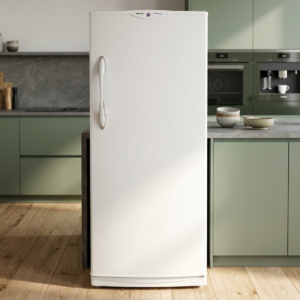CONGELATEUR 220F